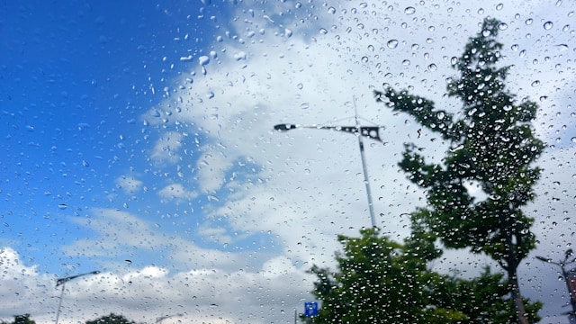 Window Cleaning
